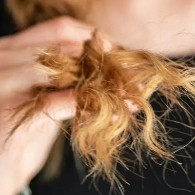 Recetas con productos económicos para tratar las puntas abiertas del cabello maltratado; el aguacate es uno de los productos más efectivos