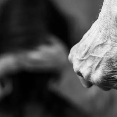 Medellín: menor de 14 años fue agredida por su pareja 50 años mayor que ella