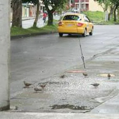 Ladrones se robaron, joyas, dólares y armas en la casa de una persona en Armenia