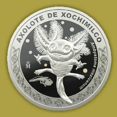 Casa de Moneda en México lanza una increíble medalla conmemorativa con ajolote