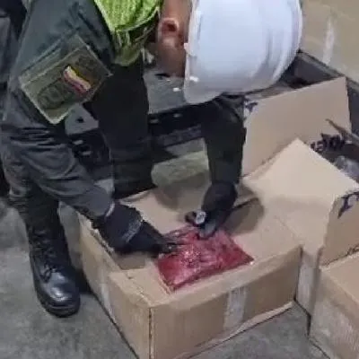 Perro dejó frío a narco que quería enviar droga en pulpa de frutas congeladas a España