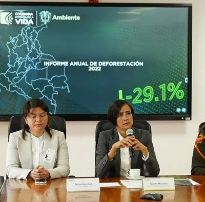 Deforestación en Colombia cayó con fuerza en 2022: la cifra más baja en 11 años