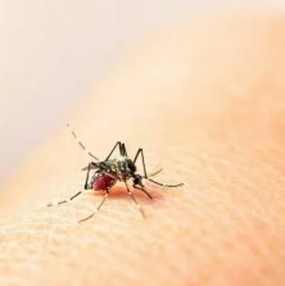 Cesar sigue en alerta por altos índices de contagio de dengue: van 2.082 casos