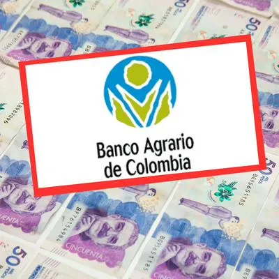 El subsidio de Renta Ciudadana se ha convertido en un problema para el país.