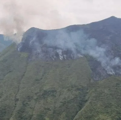 Dieron a conocer que el incendio en el cerro La Castilla, en Cali, ha consumido más de 200 hectáreas. Bomberos llevaron horas luchando contra el fuego.