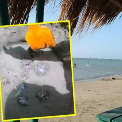 Alertan sobre presencia de agua mala en playa del Atlántico; a turista no le advirtieron.