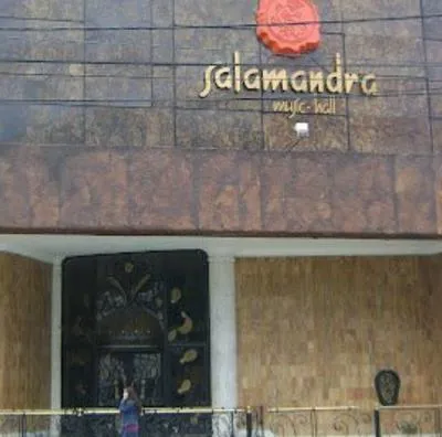 Conozca lo que pasó con la discoteca Salamandra en Bogotá, donde los colegios celebraban sus 'preproms' en la década de los 90 y 2000. 