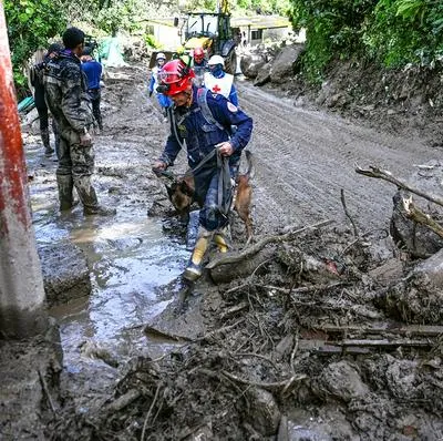 Vía al Llano Bogotá-Villavicencio, que se abre en una semana tras tragedia en Quetame