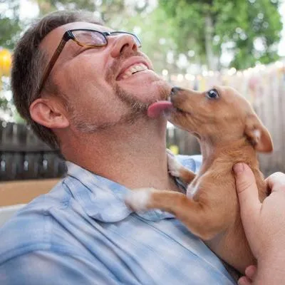 El 'Día Mundial del Perro' se festeja el 21 de julio, celebrando a los perros y su lealtad.