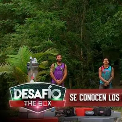 Los finalistas del 'Desafío The Box 2023' son: 'Aleja', 'Yan', 'Sensei' y 'Guajira'. La final será este martes 25 de julio y las votaciones terminan el 23 de julio para elegir al favorito del público.