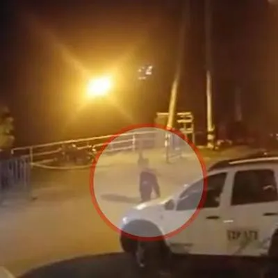 Pereira: revelan por qué policías mataron a los chimpancés del bioparque Ukumarí
