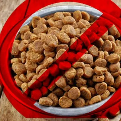 Estas croquetas no nutren a tu perro según estudios de Profeco.