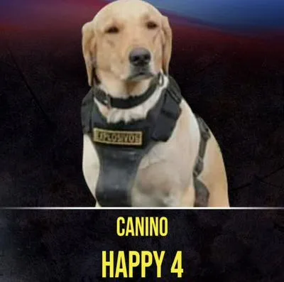 Happy 4, perro antiexplosivos que murió cuando inspeccionaba un paquete sospechoso, que era un explosivo, en Puerto Rico (Meta)