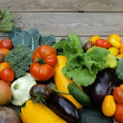Verduras: maneras para que permanezcan por más tiempo frescas