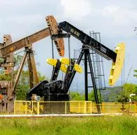 Ganancias de Ecopetrol cayeron 61%  en el segundo trimestre