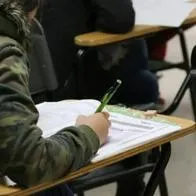 Matrícula cero: cómo aplicar a programa para ir a la universidad: hay requisitos