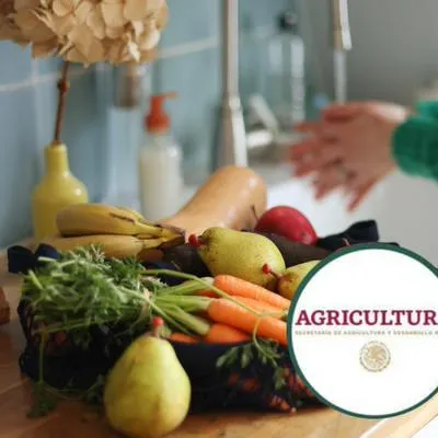 La Secretaría de Agricultura pide consumir frutas de diversos colores.