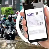 La estafa con el Soat de la que nadie está hablando, pero en la que ya han caído miles. Todo empieza desde que busca en Google. 