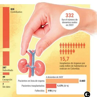 Aplicación web empareja los trasplantes de órganos en Colombia desde 2016. Confluyen la información de posibles receptores y donantes de un órgano 