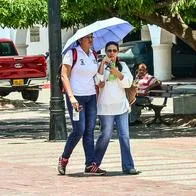 Secretaría de Salud del Cesar recomienda aumentar consumo de frutas 