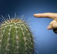 Qué significa soñar con cactus: una planta acostumbrada a la protección y los entornos difíciles. Problemas, mecanismos de defensa y más interpretaciones.