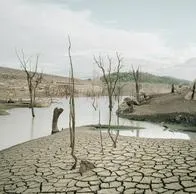 Estudió reveló que cultura de estados unidos no desapareció por cambio climático.