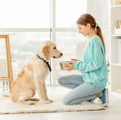 Cuáles son los beneficios de que un niño tenga una mascota en casa; responsabilidades, conexiones emocionales, empatía y otras enseñanzas valiosas.