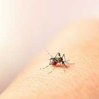 Alarmante aumento de casos de dengue en el Cesar: 2.896 contagios
