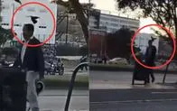 Capturas de video de transeúntes atacados por palomas en Bogotá.