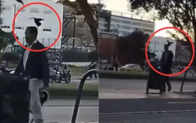 Capturas de video de transeúntes atacados por palomas en Bogotá.