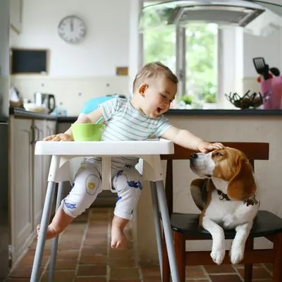 Niño acariciando perro. Recomendaciones para que convivan.