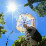 Calentamiento global: el 2023 es el año más caluroso de la historia