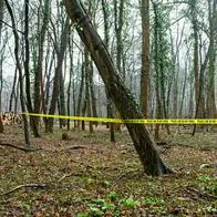 Escenas del crimen de referencia.