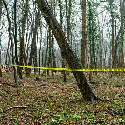 Escenas del crimen de referencia.