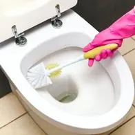 Use esta mezcla para dejar la taza del baño limpia