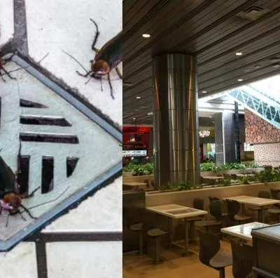 Ibagué: restaurante en centro comercial La Estación fue cerrado por insectos