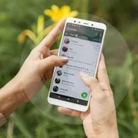 La criptografía, el guardián de la privacidad en WhatsApp