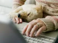 Perro. En relación a qué significa la forma en la que duermen.