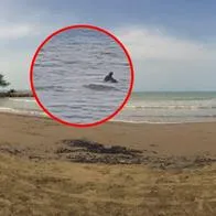 Pelea por una deuda terminó en tragedia en playa de Tolú; un hombre ahogó a otro.