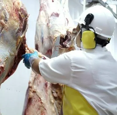 Dicen qué tan viable es plan de Gustavo Petro para reabrir los mataderos municipales en Colombia, que bajaría precio de la carne.
