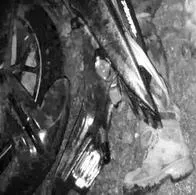 Foto de referencia. Asesinan a un ex-Farc en Cauca.