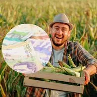 Créditos con bajos intereses para campesinos en Colombia: qué beneficios dan