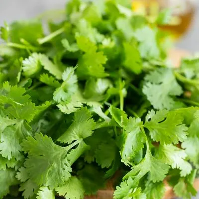 Revelan truco viral para que el cilantro y otras ramas no se marchiten tan rápido