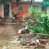 Tormenta Tropical Franklin causó emergencias en ciudades del Caribe colombiano como Cartagena y Barranquilla 