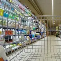 Inflación 2023: Fedesarrollo proyecta que costo de vida suba o se en agosto