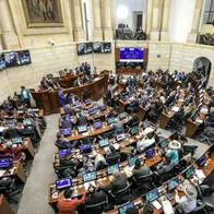 Alertan de 'mico' que buscan meter en proyecto de reducir salario a congresistas en el Senado.