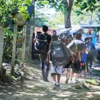 Dramático incremento: cruce de migrantes por el Tapón del Darién aumentó casi 300%