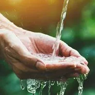 Consejos infalibles para preservar el agua desde su casa