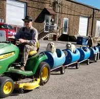 Historia viral: adulto mayor hace idea un tren para pasear a sus perros de calle