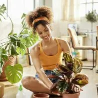 Frases que puede usar para hablarle a sus plantas y que ellas puedan crecer sanas y fuertes.